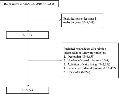 Depressive symptoms of older adults with chronic diseases: the mediating roles of activities of daily living and economic burden of diseases